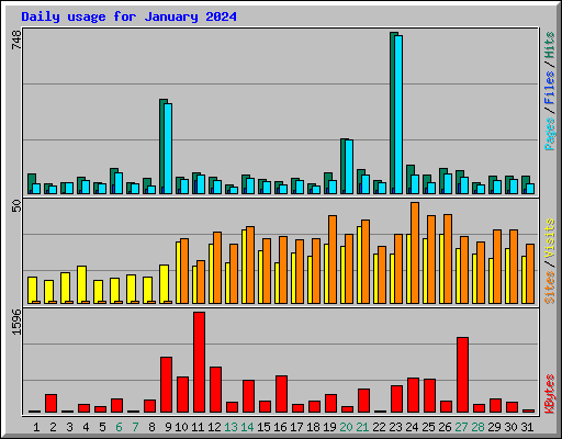 Daily usage for January 2024