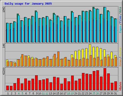 Daily usage for January 2025