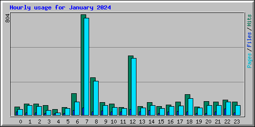 Hourly usage for January 2024