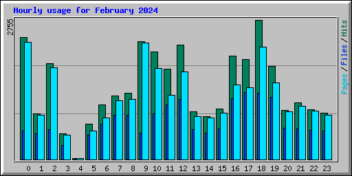 Hourly usage for February 2024