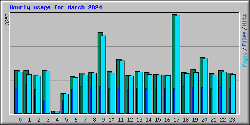Hourly usage for March 2024