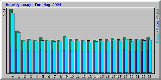 Hourly usage for May 2024