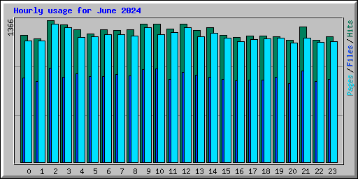 Hourly usage for June 2024