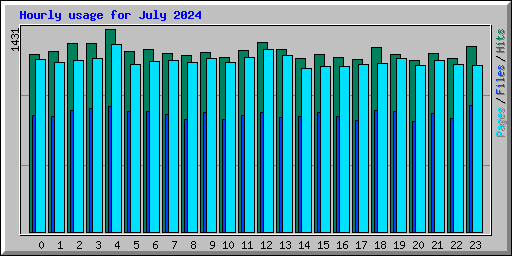 Hourly usage for July 2024