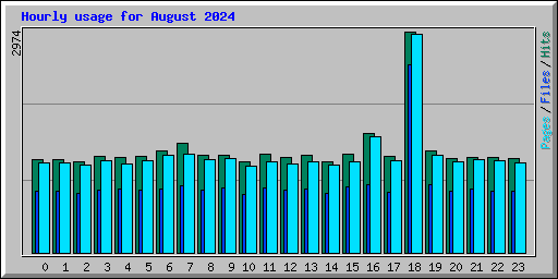 Hourly usage for August 2024