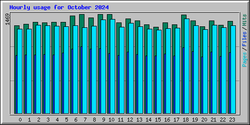 Hourly usage for October 2024