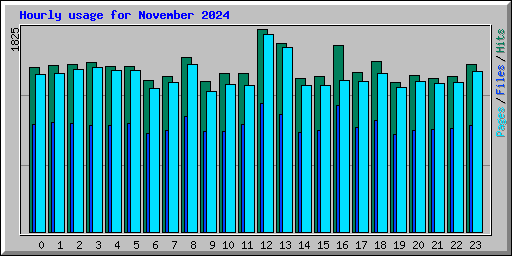 Hourly usage for November 2024