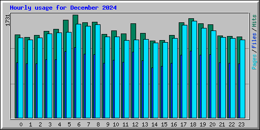 Hourly usage for December 2024