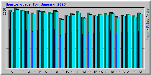 Hourly usage for January 2025