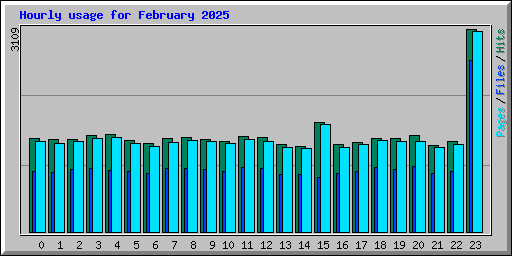 Hourly usage for February 2025