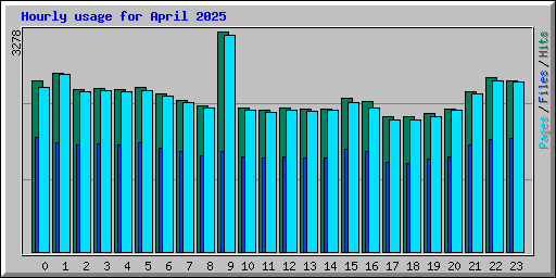 Hourly usage for April 2025