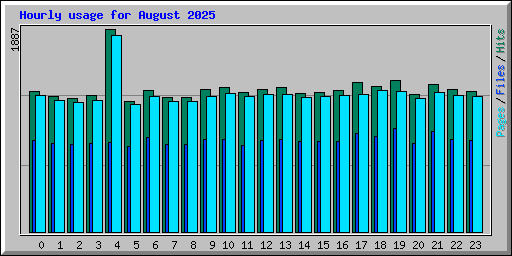 Hourly usage for August 2025
