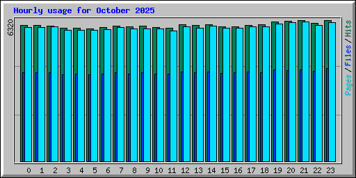 Hourly usage for October 2025